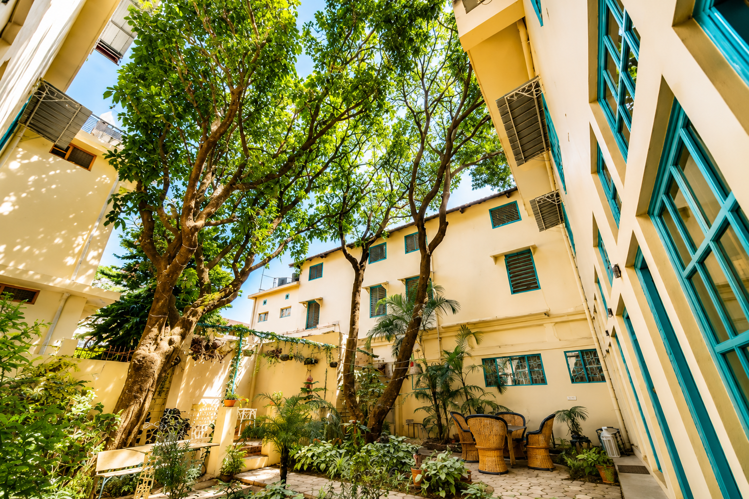 Mango Tree Courtyard Dehradun